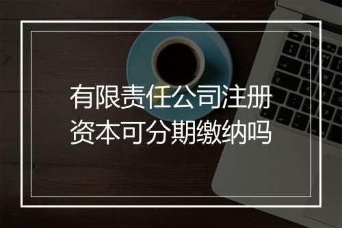有限责任公司注册资本可分期缴纳吗