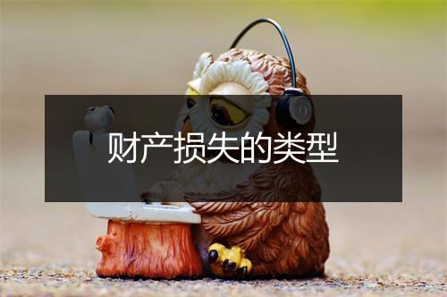 财产损失的类型