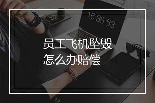 员工飞机坠毁怎么办赔偿