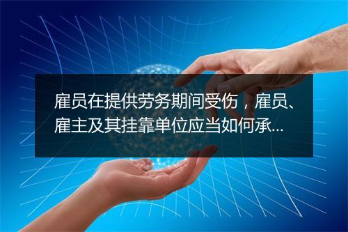 雇员在提供劳务期间受伤，雇员、雇主及其挂靠单位应当如何承担责任