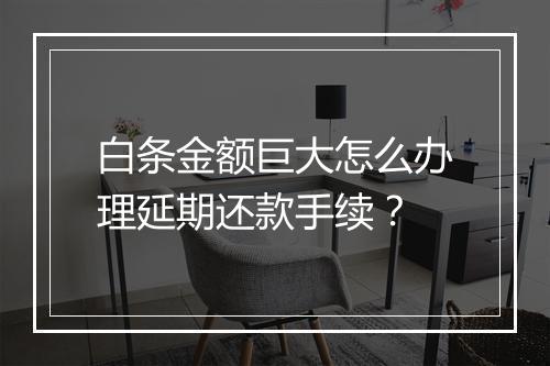 白条金额巨大怎么办理延期还款手续？