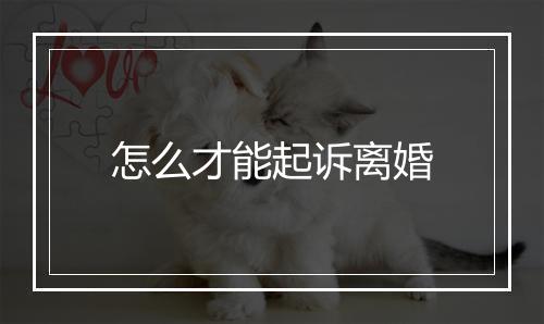 怎么才能起诉离婚