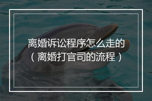 离婚诉讼程序怎么走的（离婚打官司的流程）