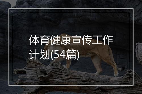 体育健康宣传工作计划(54篇)