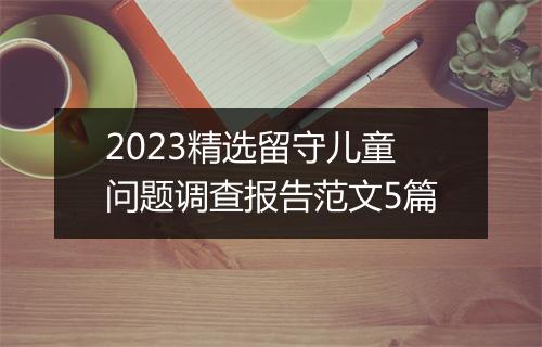 2023精选留守儿童问题调查报告范文5篇