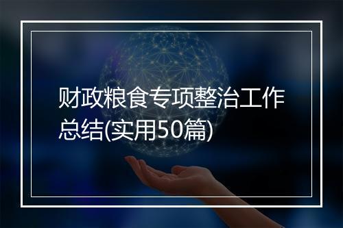 财政粮食专项整治工作总结(实用50篇)