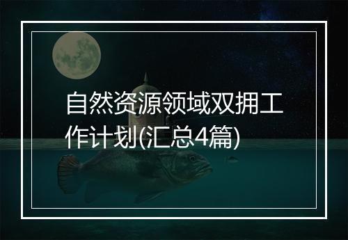 自然资源领域双拥工作计划(汇总4篇)