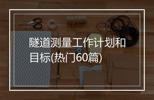 隧道测量工作计划和目标(热门60篇)