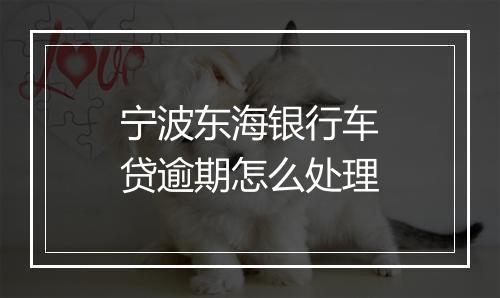 宁波东海银行车贷逾期怎么处理