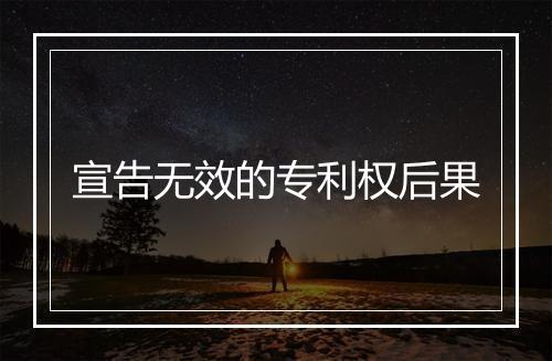 宣告无效的专利权后果