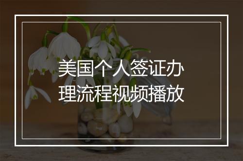 美国个人签证办理流程视频播放