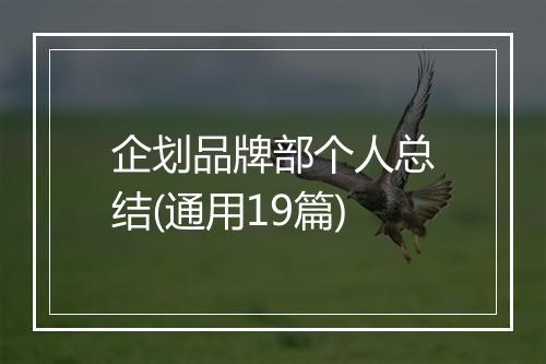 企划品牌部个人总结(通用19篇)