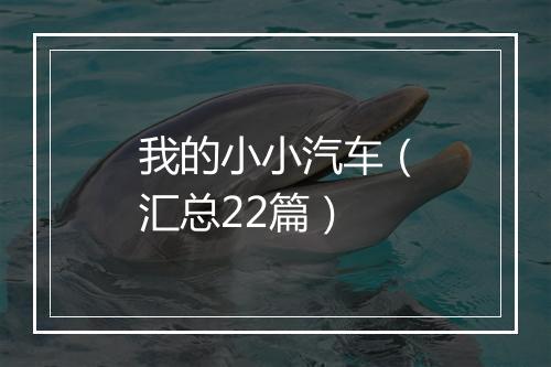 我的小小汽车（汇总22篇）