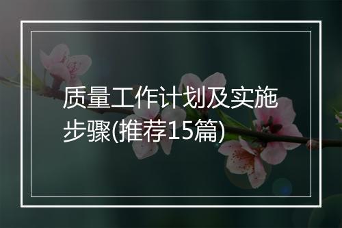 质量工作计划及实施步骤(推荐15篇)
