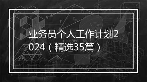 业务员个人工作计划2024（精选35篇）