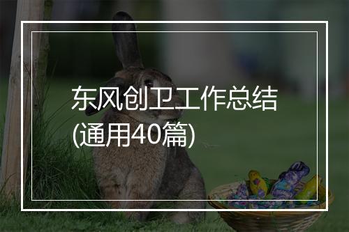 东风创卫工作总结(通用40篇)