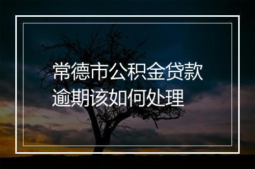 常德市公积金贷款逾期该如何处理
