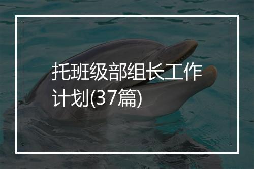 托班级部组长工作计划(37篇)