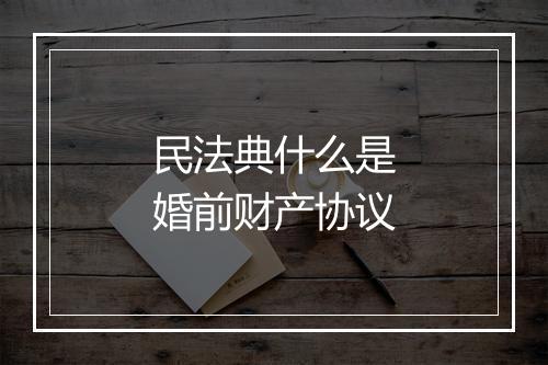 民法典什么是婚前财产协议