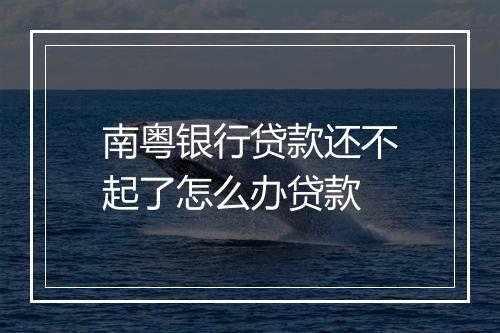 南粤银行贷款还不起了怎么办贷款