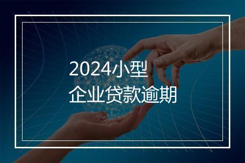2024小型企业贷款逾期