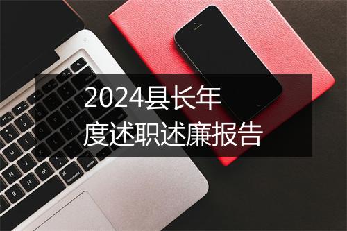 2024县长年度述职述廉报告