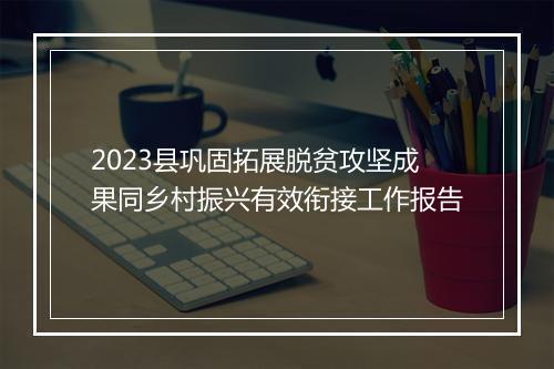 2023县巩固拓展脱贫攻坚成果同乡村振兴有效衔接工作报告