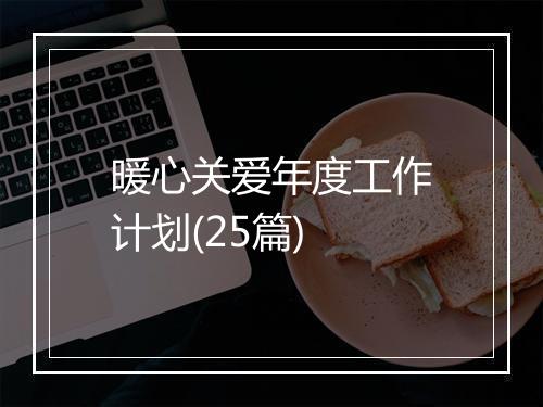 暖心关爱年度工作计划(25篇)