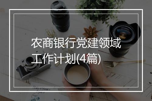 农商银行党建领域工作计划(4篇)