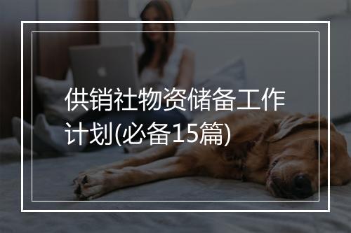 供销社物资储备工作计划(必备15篇)