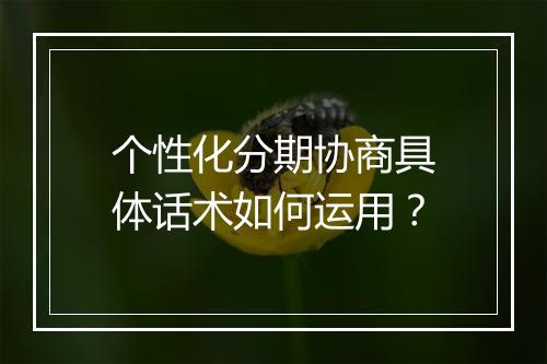 个性化分期协商具体话术如何运用？