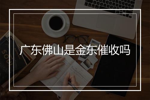 广东佛山是金东催收吗