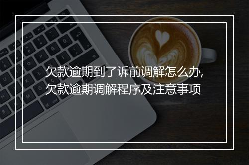 欠款逾期到了诉前调解怎么办,欠款逾期调解程序及注意事项