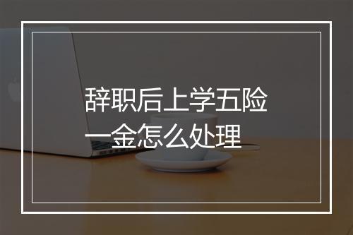 辞职后上学五险一金怎么处理