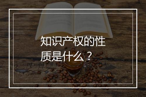 知识产权的性质是什么？