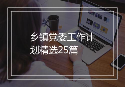 乡镇党委工作计划精选25篇