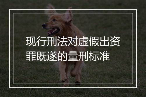现行刑法对虚假出资罪既遂的量刑标准