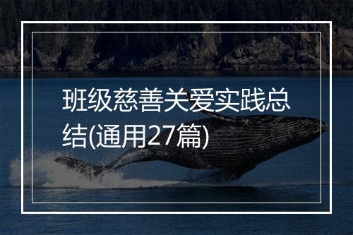 班级慈善关爱实践总结(通用27篇)