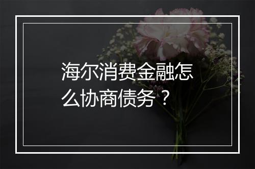 海尔消费金融怎么协商债务？