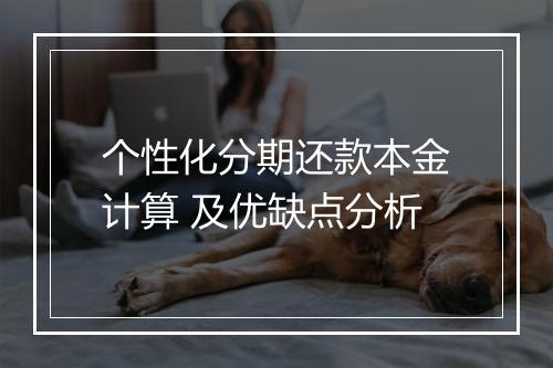 个性化分期还款本金计算 及优缺点分析