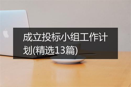 成立投标小组工作计划(精选13篇)
