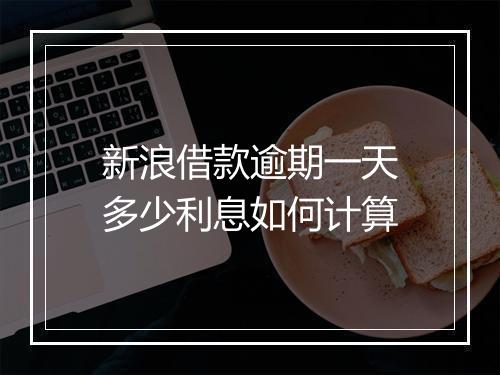 新浪借款逾期一天多少利息如何计算