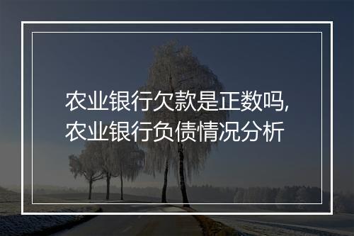 农业银行欠款是正数吗,农业银行负债情况分析