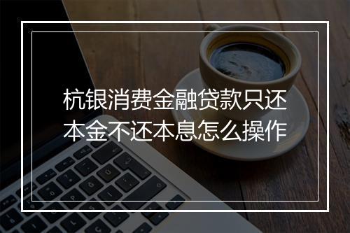 杭银消费金融贷款只还本金不还本息怎么操作