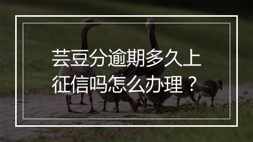 芸豆分逾期多久上征信吗怎么办理？