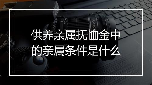 供养亲属抚恤金中的亲属条件是什么