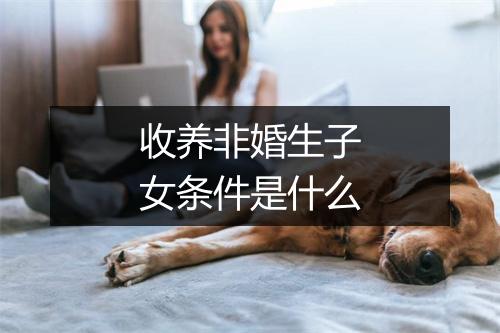 收养非婚生子女条件是什么