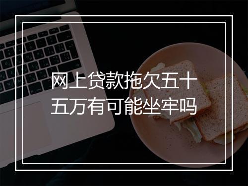网上贷款拖欠五十五万有可能坐牢吗