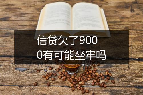信贷欠了9000有可能坐牢吗