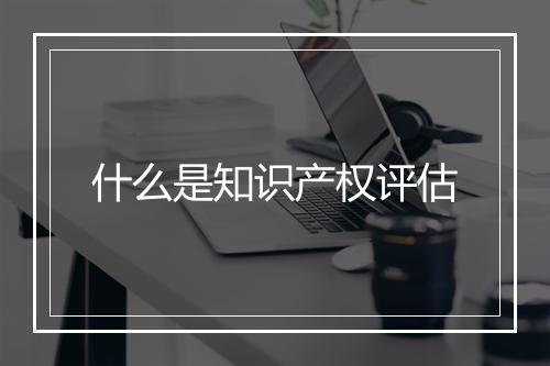 什么是知识产权评估